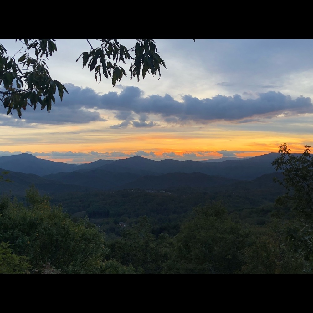 Meet your Posher, Trey